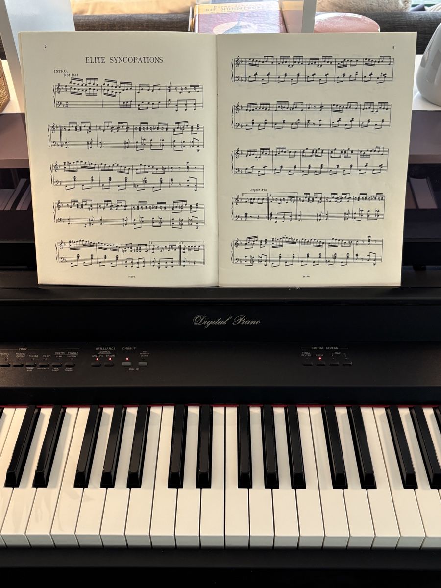Technics Musikinstrumente: E-Klavier Technics PX 22 – Gebraucht aus Au ZH von glovefish 3