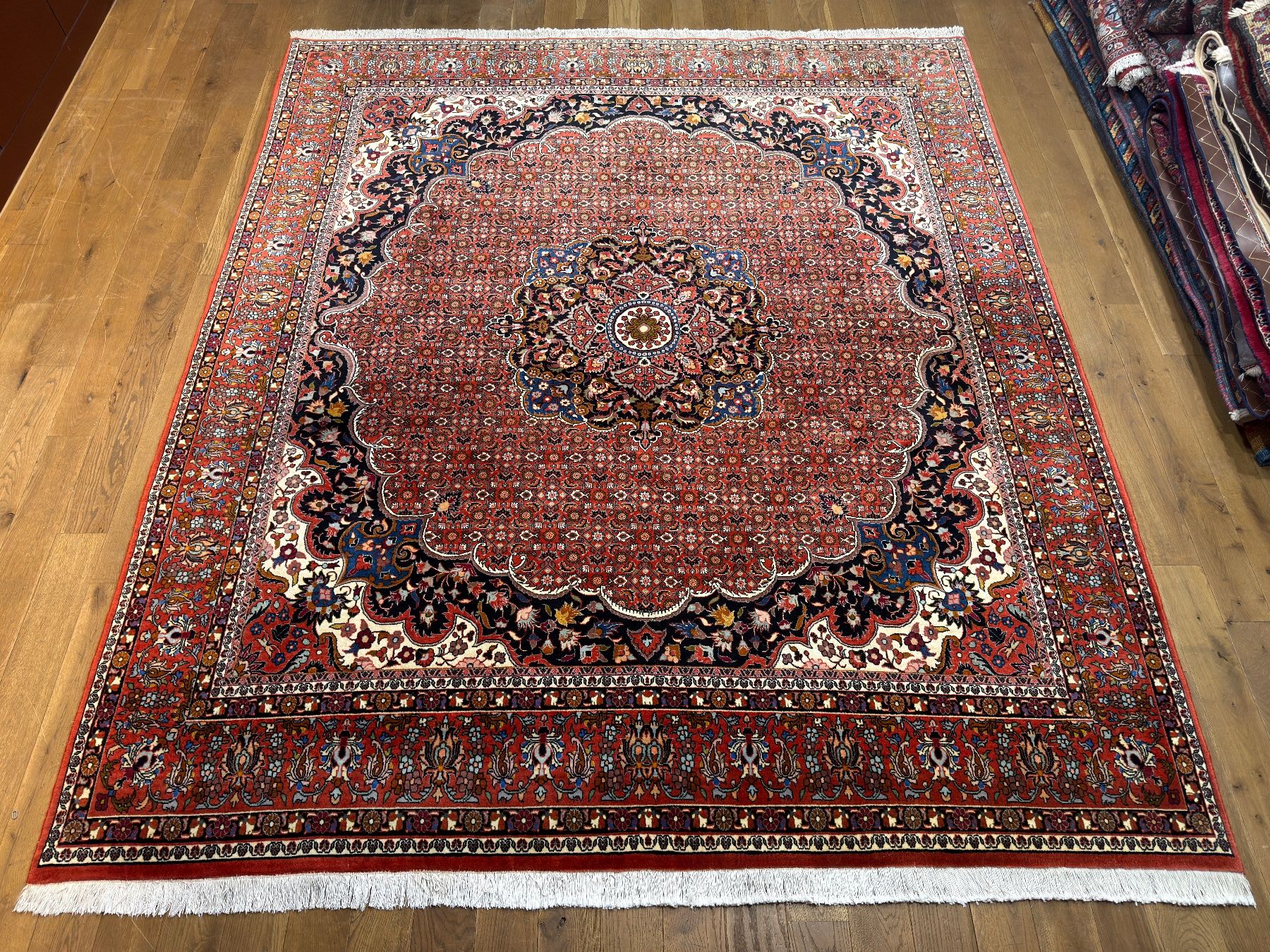 Bidjar Tappeti: Exklusiver Robuster Bidjar Perserteppich - handgeknüpft – Usato da Bennau venduto da Mayer_Carpets 1