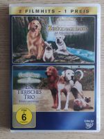 Zurück nach Hause + Ein tierisches Trio – (Disney/2DVDs)