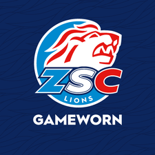 Profile image of zsclions_gameworn