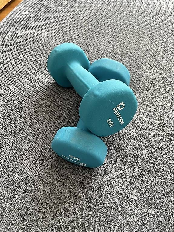 Manubri & Pesi: Kurzhantel 2kg – Usato da Arnegg venduto da Marcov8563