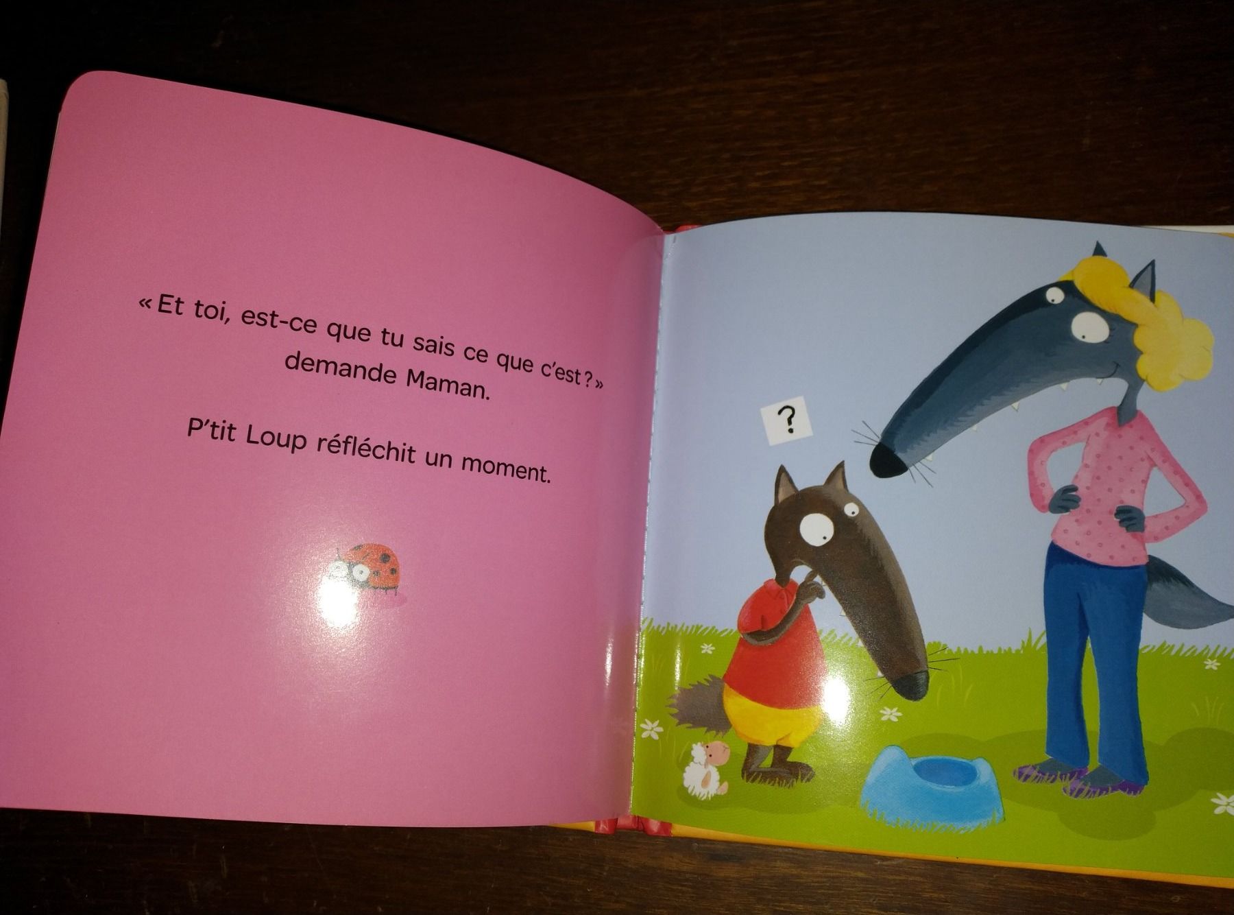 Libri: P'tit loup va sur le pot – Usato da Cortaillod venduto da rozinna 4