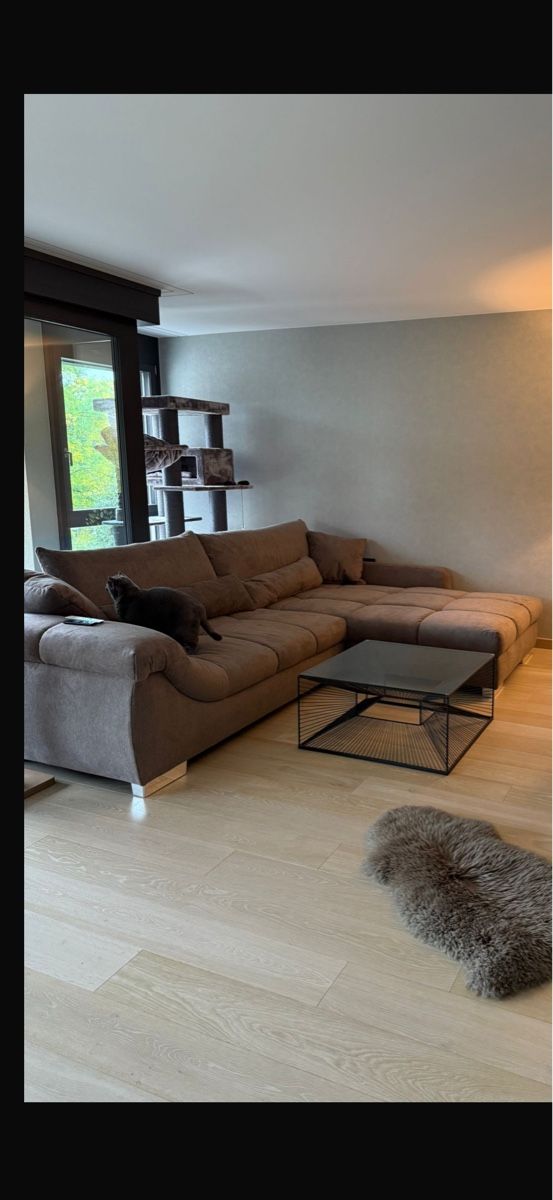 Divani: Sofa – Usato da Aesch BL venduto da tkivilaa 1