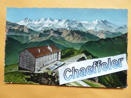 Rigi - Kulm, und die Berneralpen.