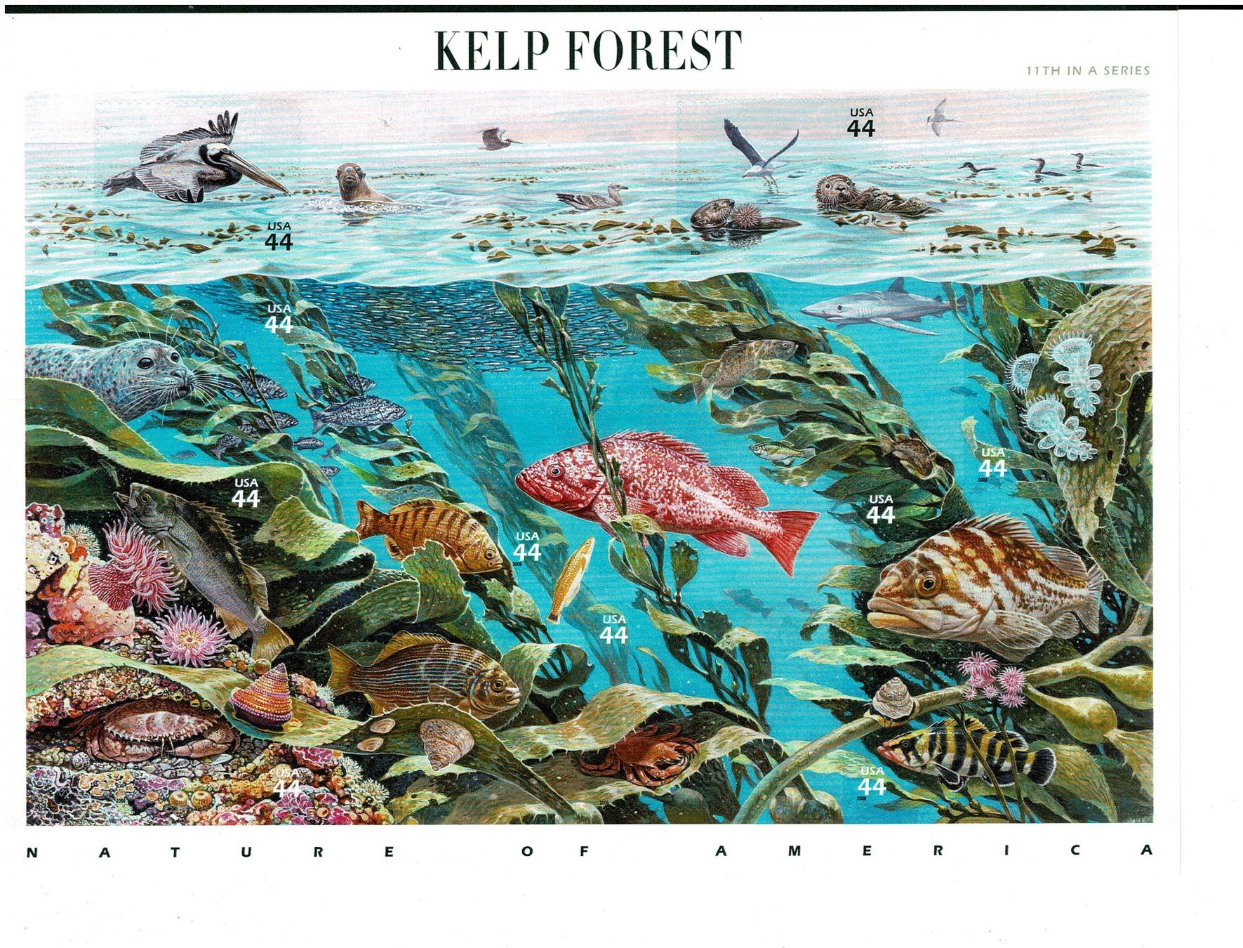 Alle Briefmarken: Kelp Forest  1 KB  ** – Neu (gemäss Beschreibung) aus Lausanne von Whorvath