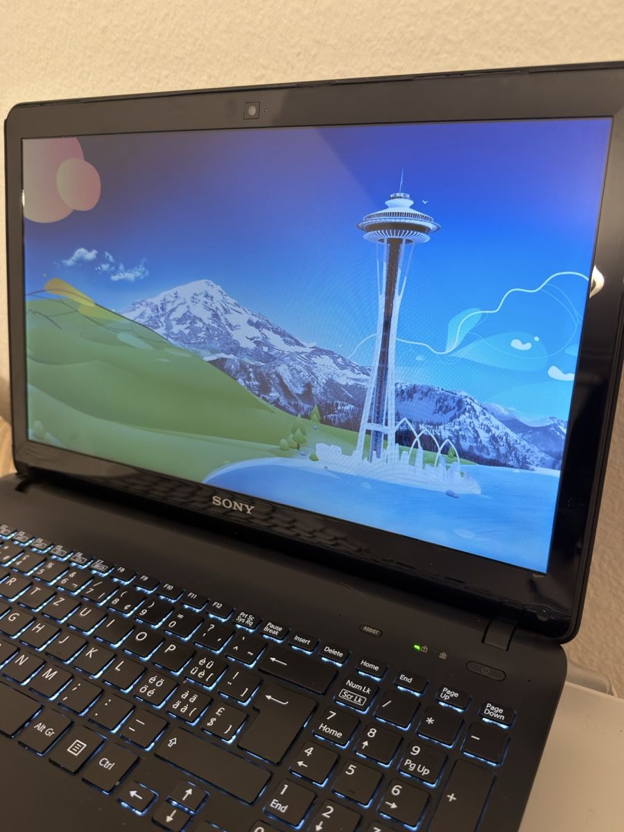 Vaio Notebook: Sony Vaio Laptop Intel Core i5 schwarz – Usato da Meilen venduto da inanilus93 1