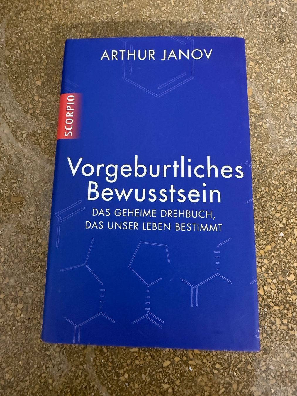 Libri: Vorgeburtliches Bewusstsein – Usato da Zürich venduto da Bergsonne04