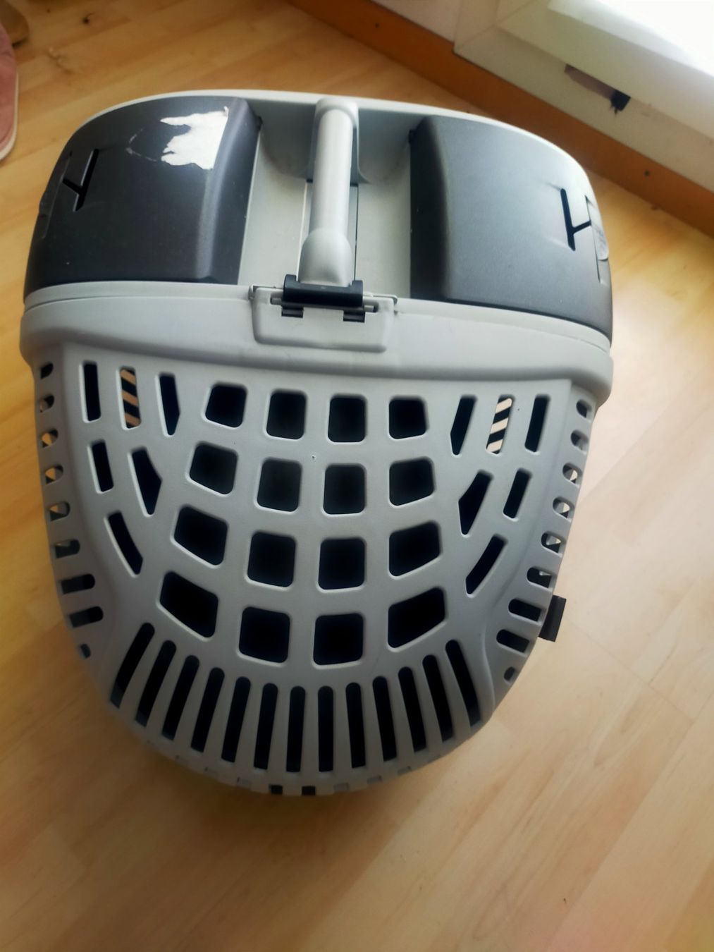 Cucce & Letti: XXL Tiertransporter – Usato da Tägerig venduto da mikky02 1