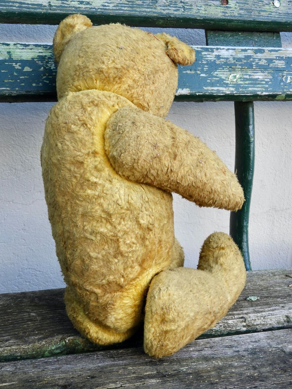 Giocattoli: Alter Teddy sucht neues Zuhause – Usato da Horw venduto da luzernicus 5