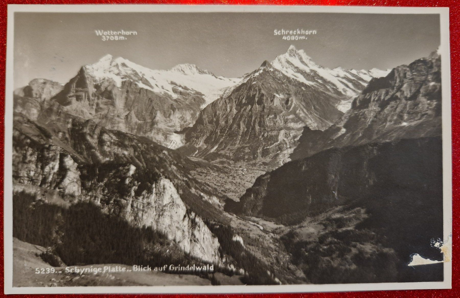 Cartoline postali: Schynige Platte - Blick auf Grindelwald – Nuovo (secondo la descrizione) da Melchnau venduto da Fishel