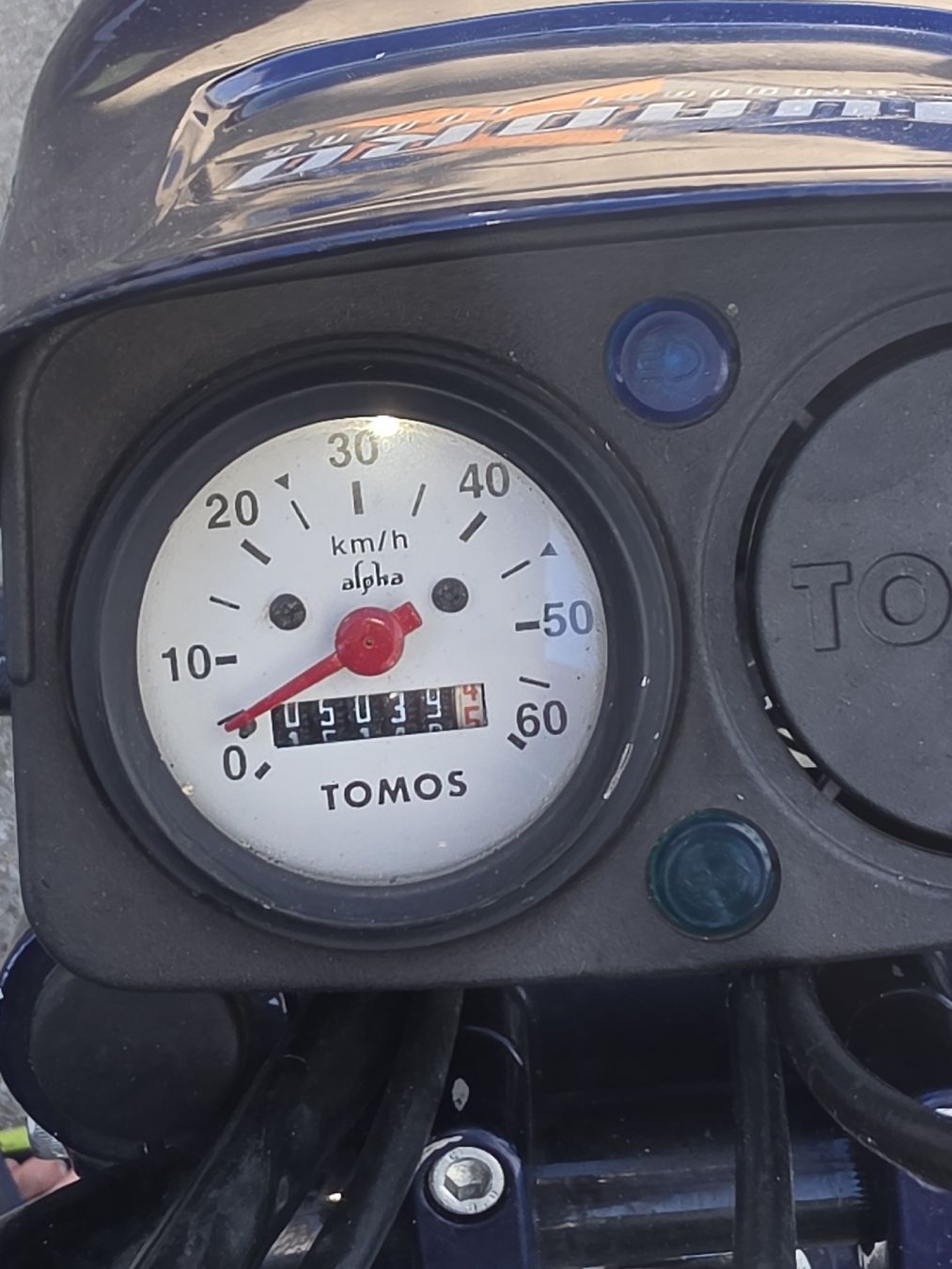Tomos Ciclomotori: Töffli Tomos Quadro(tomos) – Usato da Künten venduto da Schnaepplihuus 6