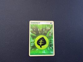 Pflanzen Energy / 103/108