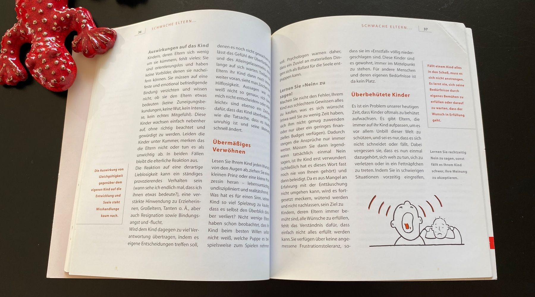 Libri: Kindern klare Grenzen setzen / Ratgeber – Usato da Nussbaumen AG venduto da schuba2000 5