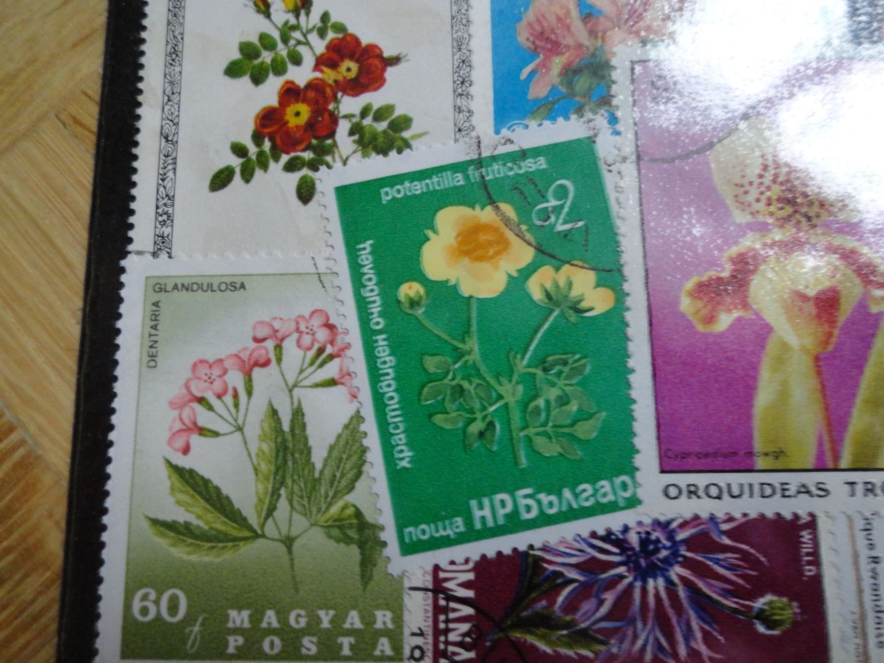 Alle Briefmarken: 25 Blumenmotive mit wunderschöner Abart! – Neu und originalverpackt aus stäfa von brandy66 1