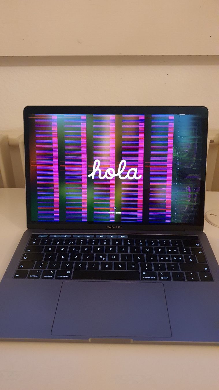 Apple Notebook: MacBook Pro 2019, 13'' DEFEKT – Difettoso da Luzern venduto da anj_7kxq 1