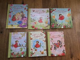 Erdbeermädchen Bücher Set, 6 Bände, top Zustand f.set