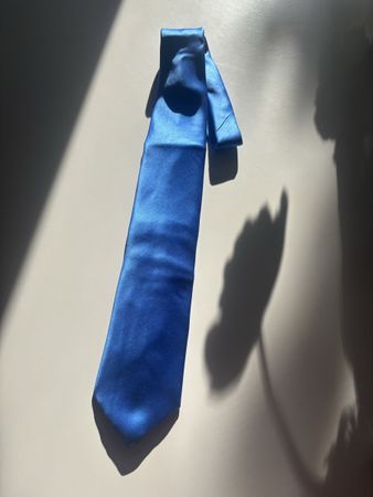 Brioni Royal Blue Necktie - Silk, Excellent Condition!