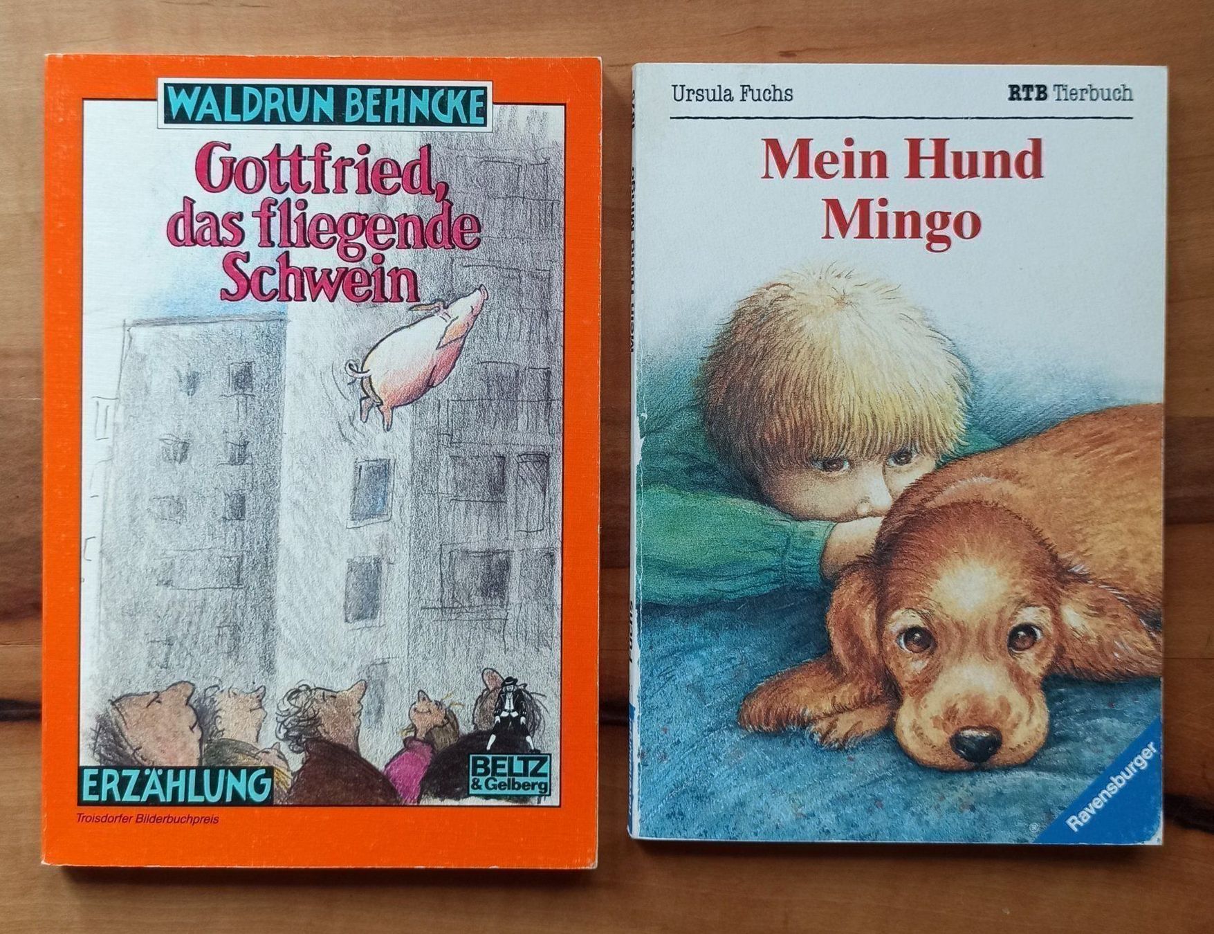 Bücher: 2x Lesen: fliegendes Schwein & Mingohund – Gebraucht aus Rothenburg von Kaulquappe55