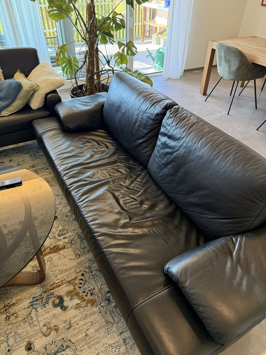 Divani: Ledersofa – Usato da Wald ZH venduto da mar_9rhs 1