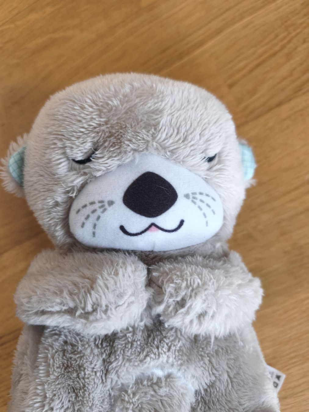 Fisher-Price Giocattoli: Fisher-Price Schlummer-Otter – Usato da Münchenbuchsee venduto da v.gl 1