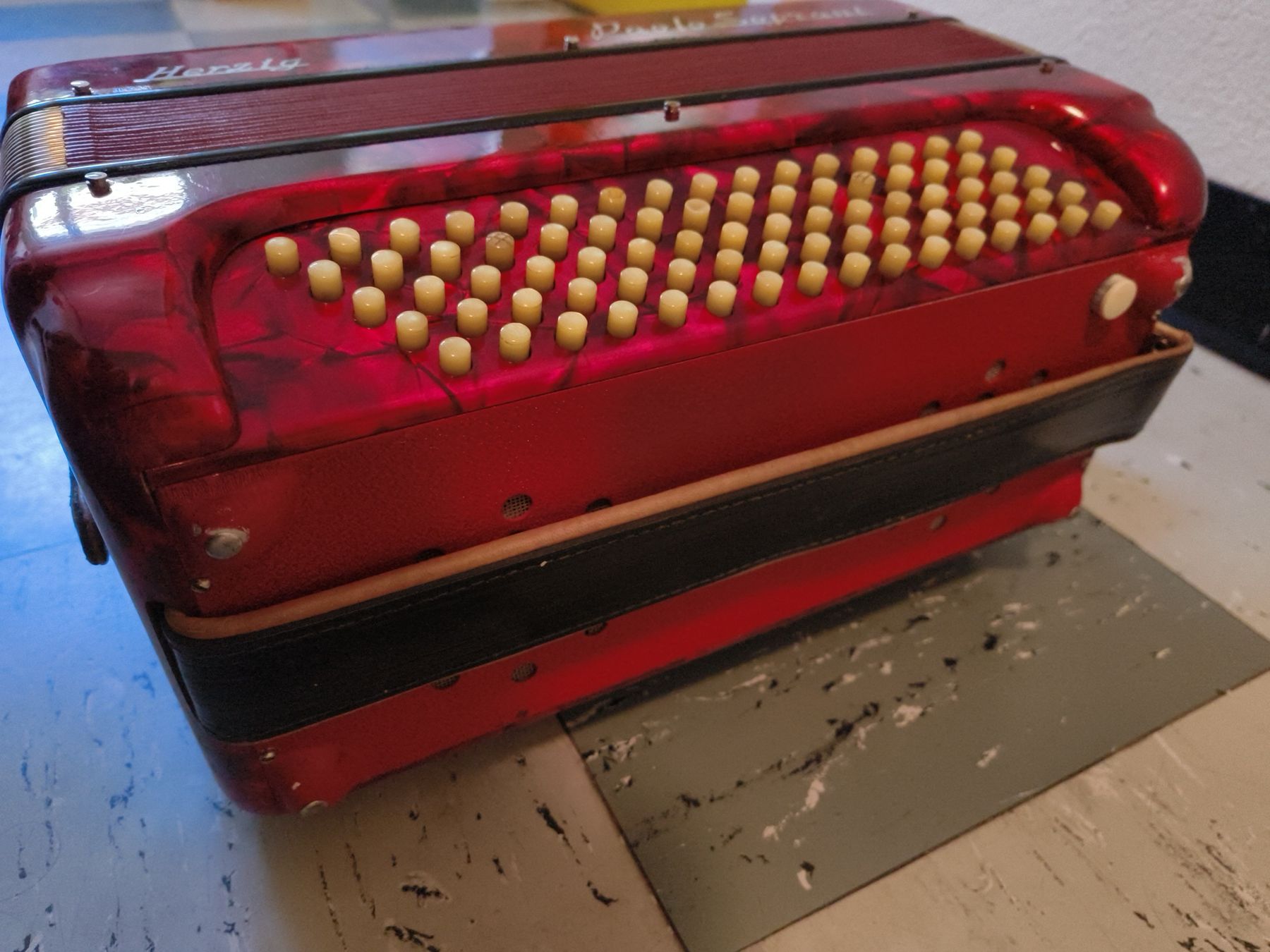 Paolo Soprani Strumenti musicali: Handorgel Herzig Paolo Soprani – Usato da stettlen venduto da VintageBern_ch 2