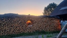 10Ster 1m Buchen Brennholz  2,5 Jahre Luftgetrocknet