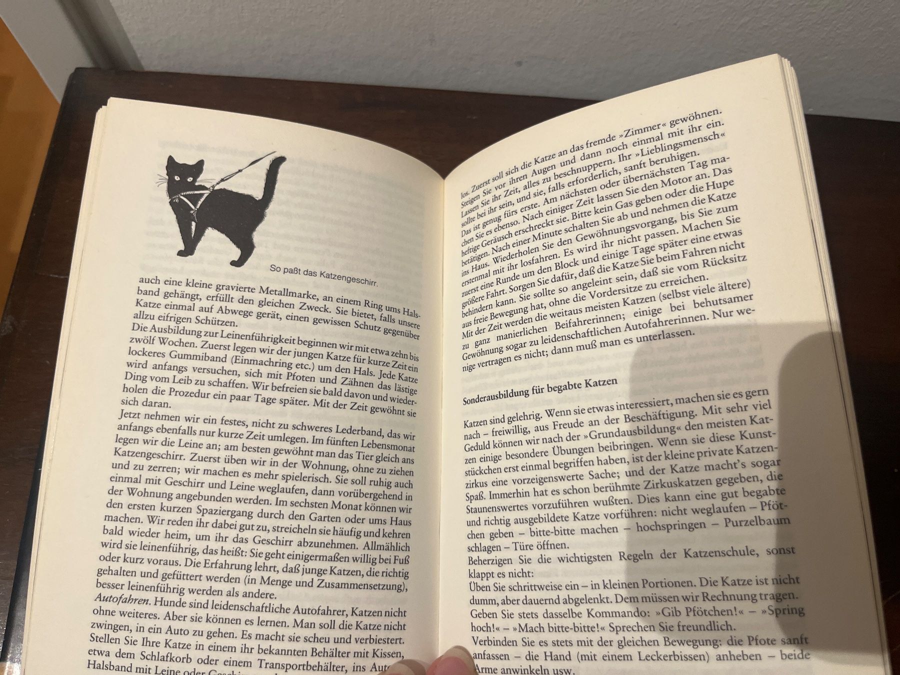 Libri: Buch - Knaurs Katzenbuch, Walter Schneider – Usato da Luzern venduto da Jiggy_8898 8