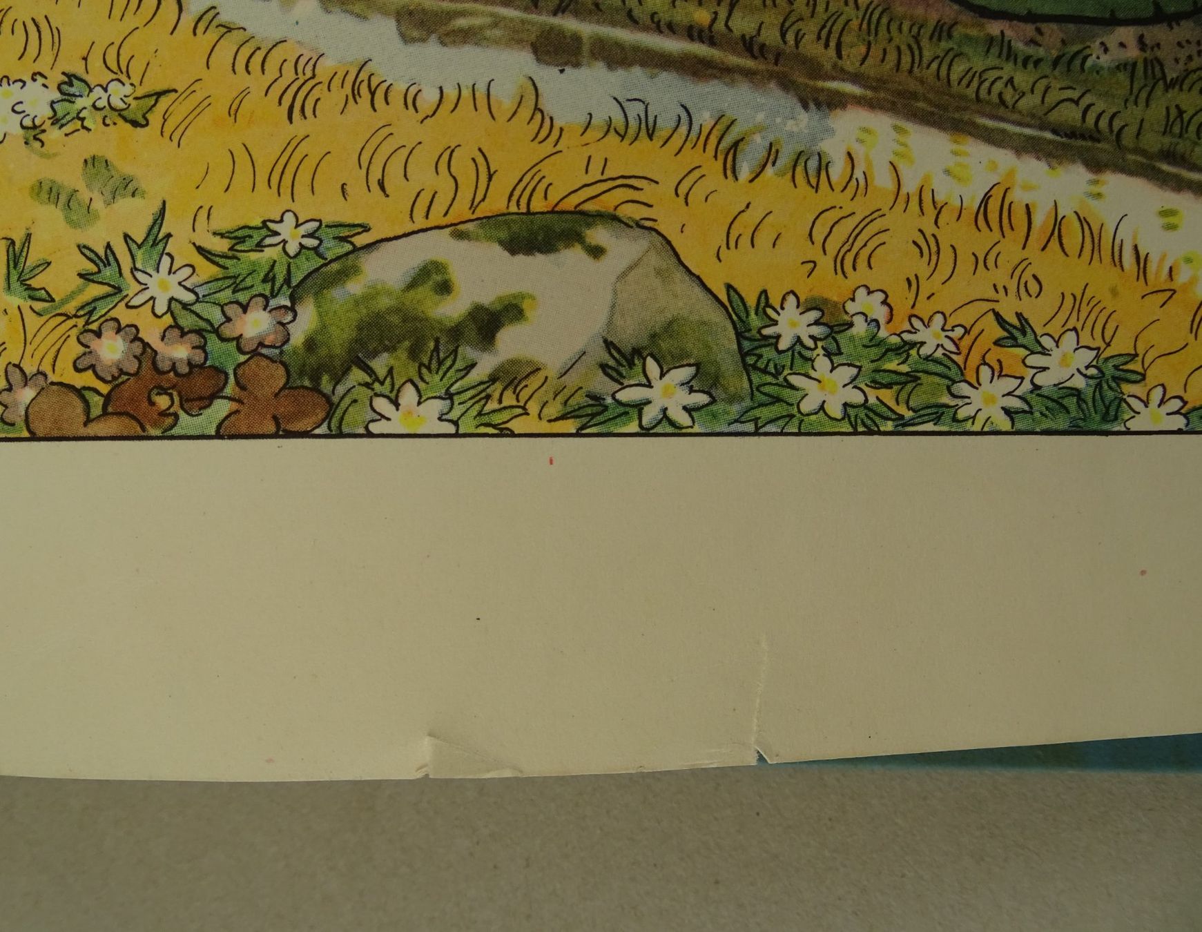 Libri: ELSA BESKOW: OLES SKITUR, BILDERBUCH – Usato da Grüningen venduto da Kartensammler 6