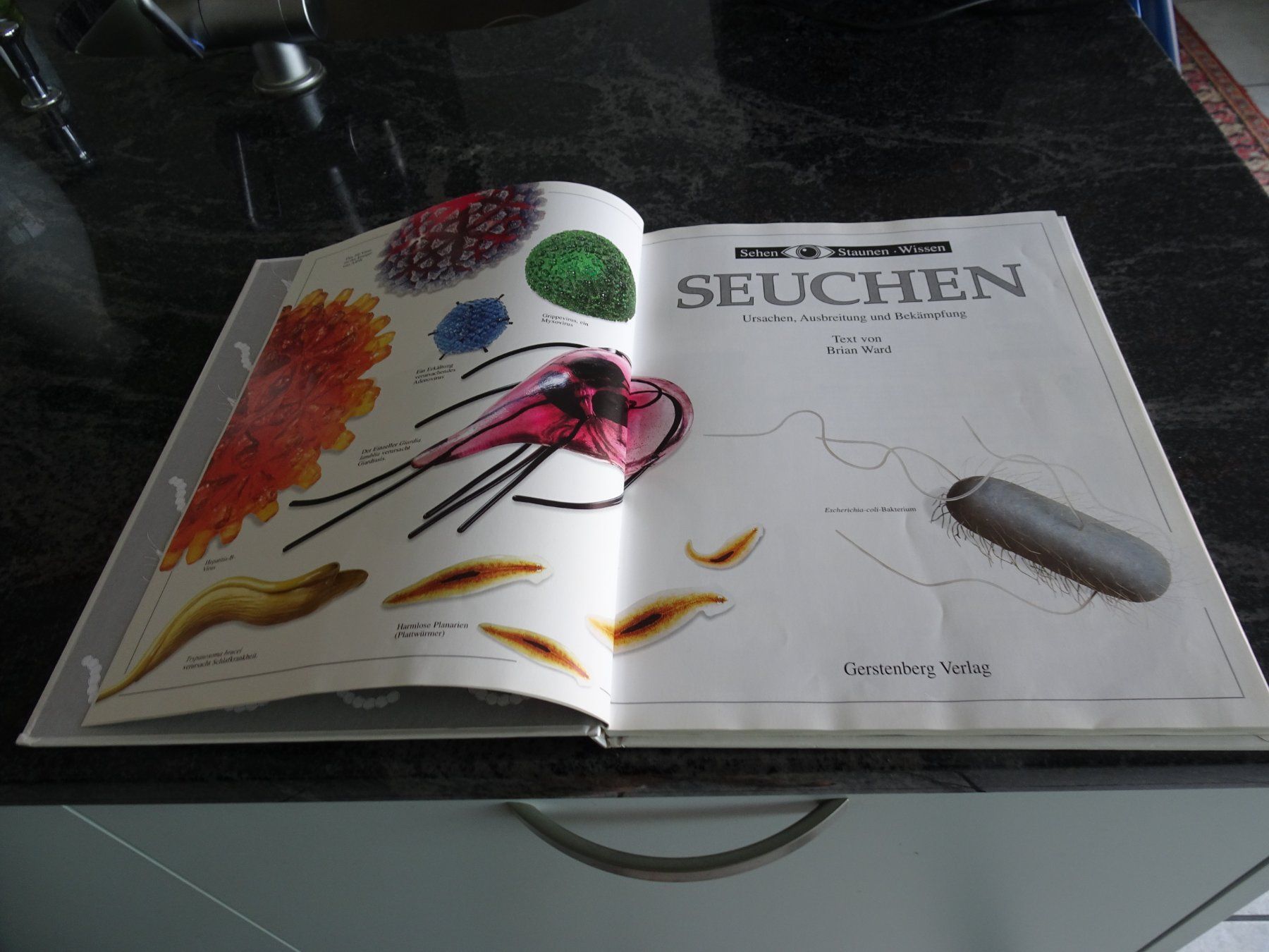 Libri: Sachbuch Seuchen Ursachen Ausbreitung Bekämpfung (726) – Usato da Zürich venduto da Roulet 2