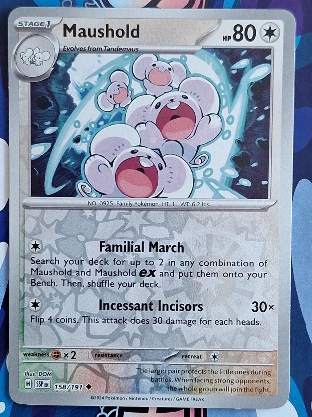 Pokémon Carte collezionabili: Maushold - Reverse Holo - Pokemon Surging Sparks #1.5 – Usato da Altstätten SG venduto da GGsGameshop