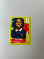 Carte panini 2026 - FRA 5
