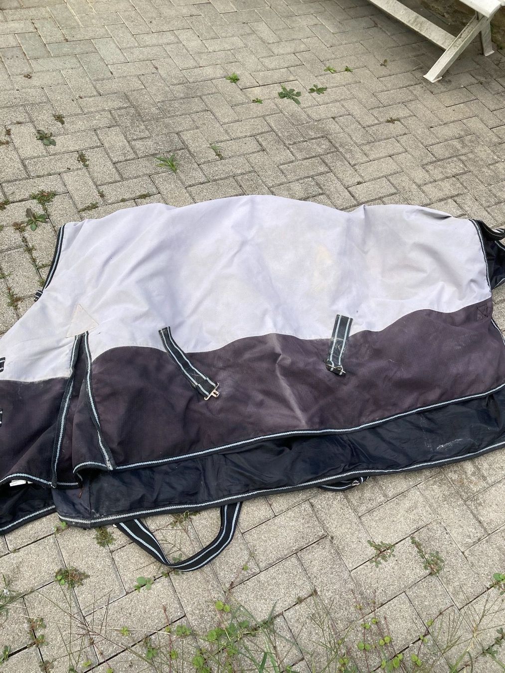 Coperte: Regen-Pferdewinterdecke – Usato da Däniken SO venduto da Sonjab0 3