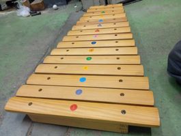 Kinder Xylophon aus Holz, 15 Töne, Sommerhit 🎶✅