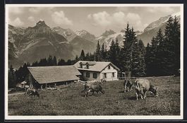 Engelberg, Arnialp mit Hahnen Schlossber