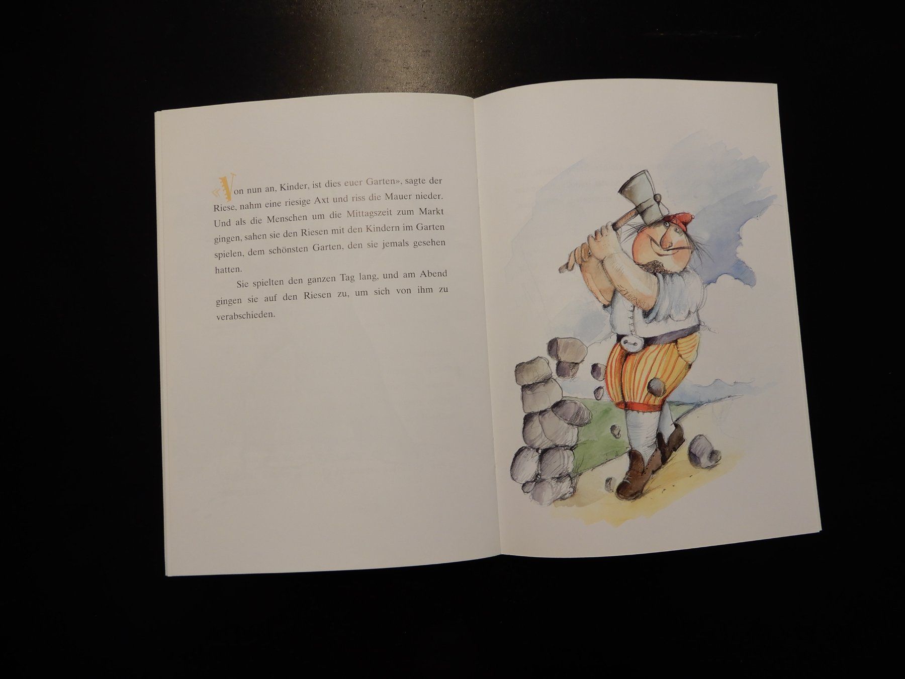 Libri: Der selbstsüchtige Riese - Kinderbuch – Usato da Erstfeld venduto da Mario_boe0 8