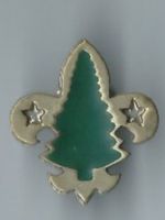 Pfadi Abzeichen Pin