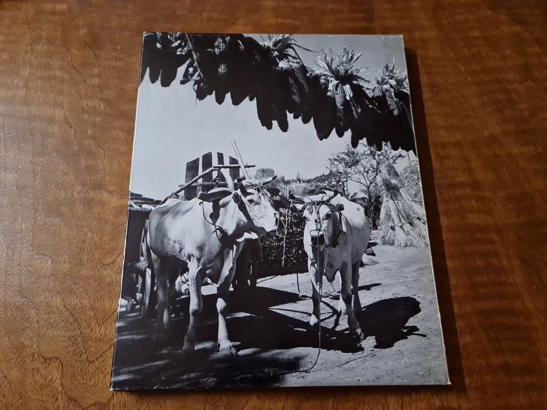 Libri: Sonnenland Toskana Umbrien – Usato da Erstfeld venduto da Mario_boe0 3