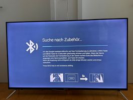 Polaroid LED Fernseher schwarz akzeptabler Zustand