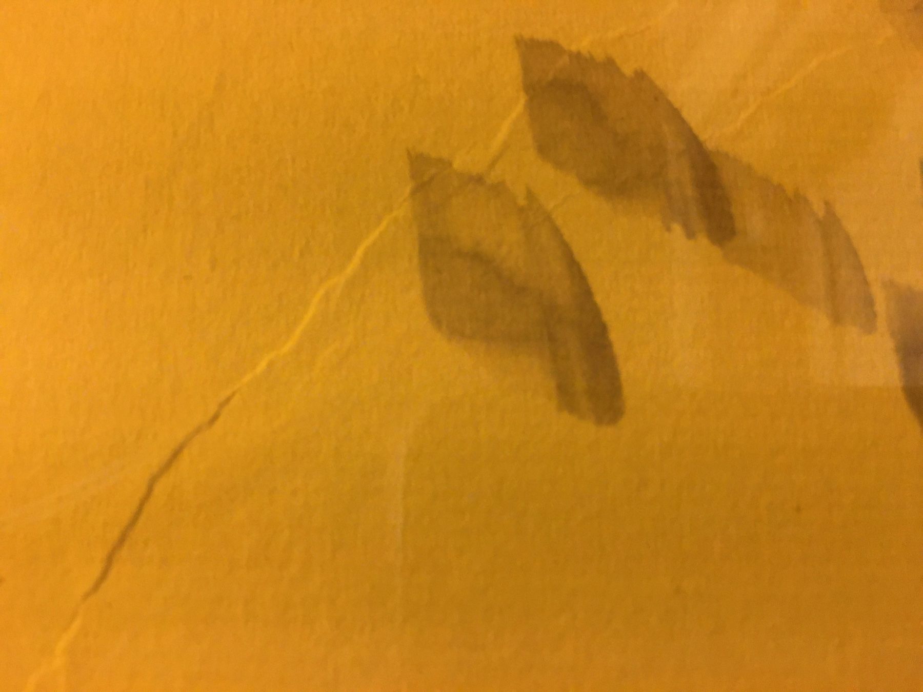 Foto & Immagini: Chinesische Bild, Liz, Gravur ? Eingerahmt, Hinter Plexiglas – Usato da Lanzenhäusern venduto da vic63 6