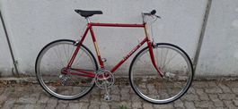 Rennvelo Allegro Vintage 61cm total Revidiert.