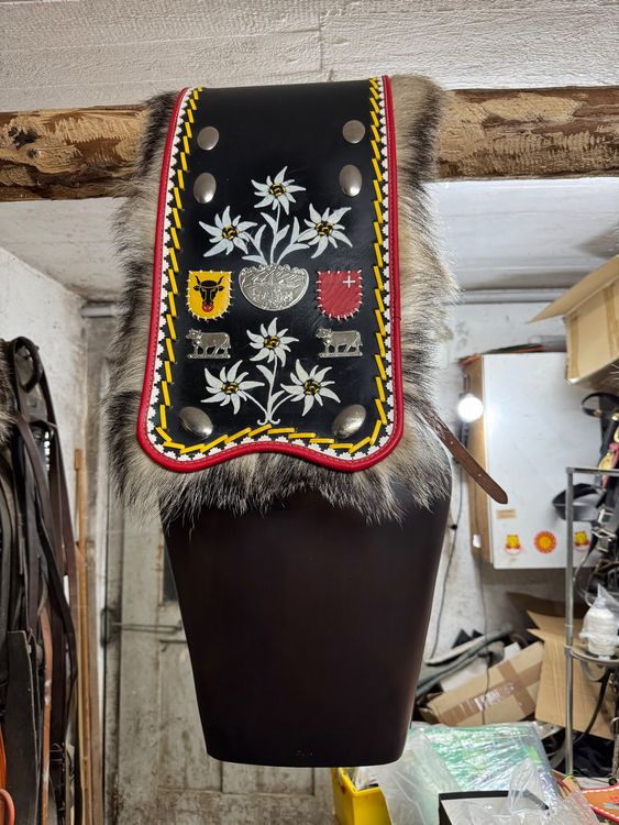 Imholz Trychel inklusive Überriemen (Gebraucht) in Eglisau für CHF 1580 ...