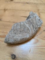 Faszinierendes Ammonit Fossil - Perfekt für Sammler!