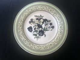 Royal Horticultural Society Teller Apfelbeer Collection 31cm