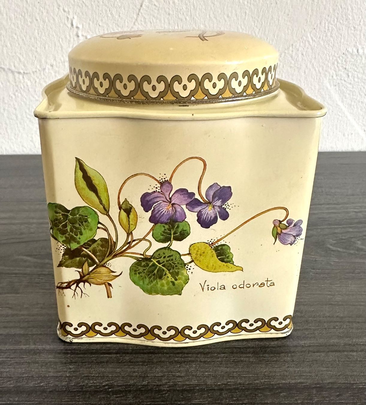 Contenitori & Simili: Vintage botanical Blechdose von Baret Ware England – Usato da Zürich venduto da brazerola 1