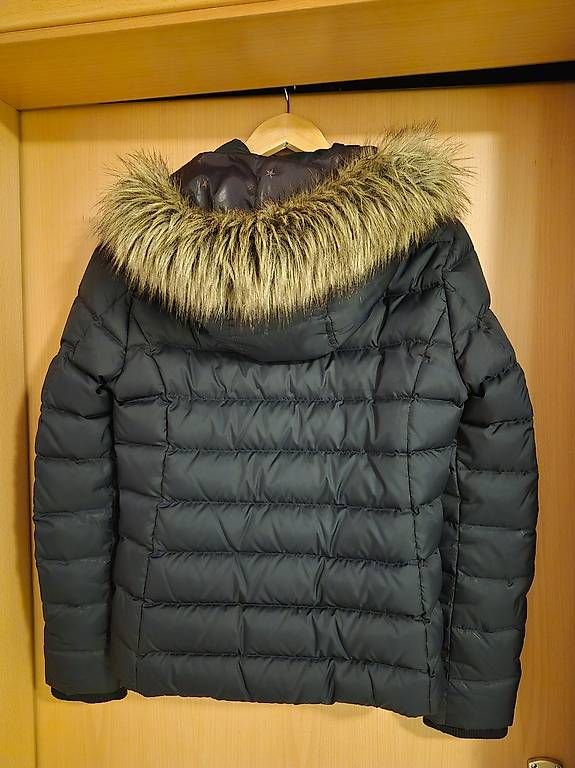 Tommy Hilfiger Giacche: Winterjacke Tommy Hilfiger – Usato da Uffikon venduto da jas_sche 1