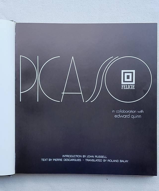 Libri: Picasso 'Felicie' – Usato da Samstagern venduto da Karibik64 1