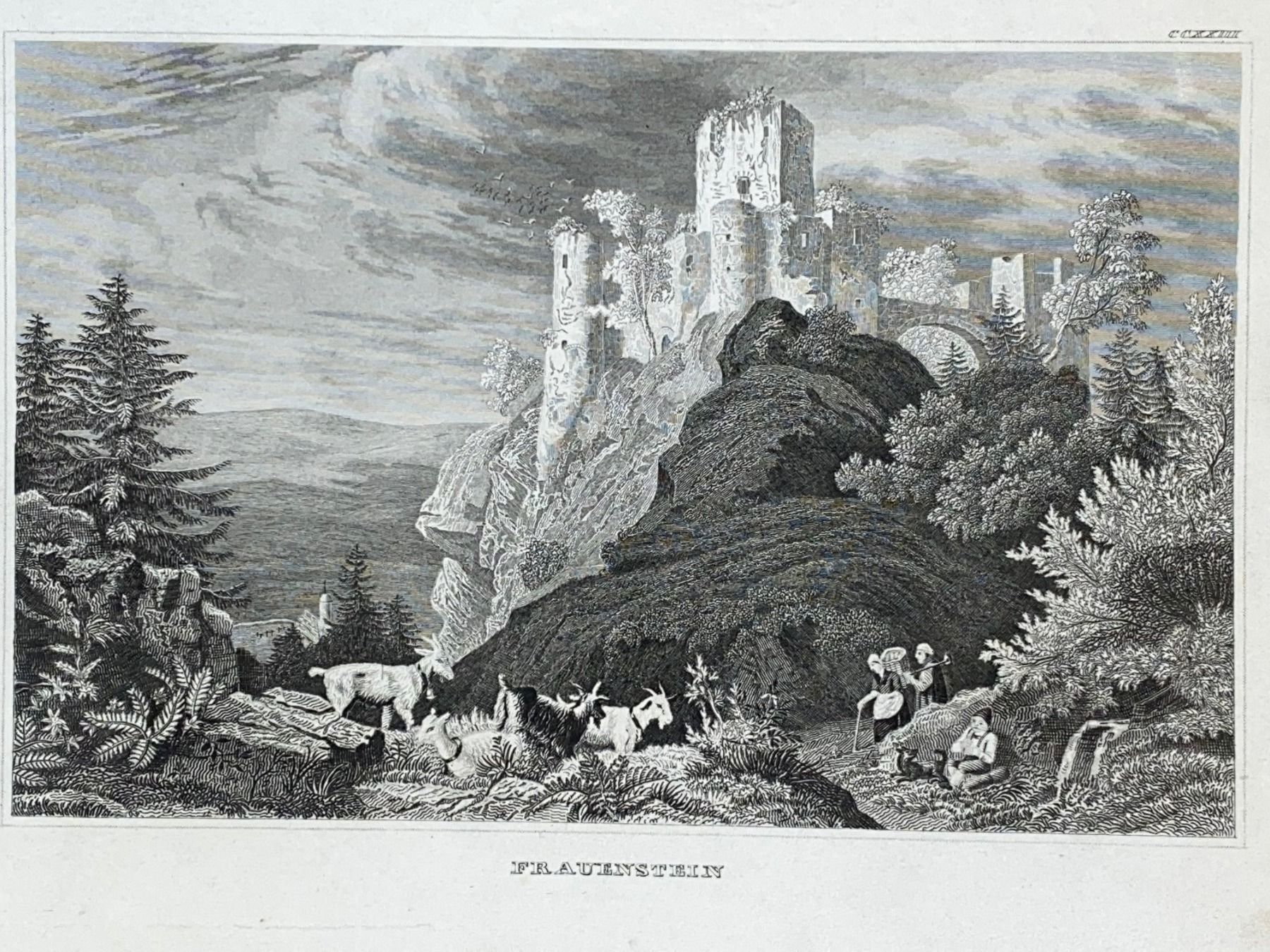 Stiche: Stich antik Frauenstein Schloss – Gebraucht aus Vaduz von Unikate-Markt 1