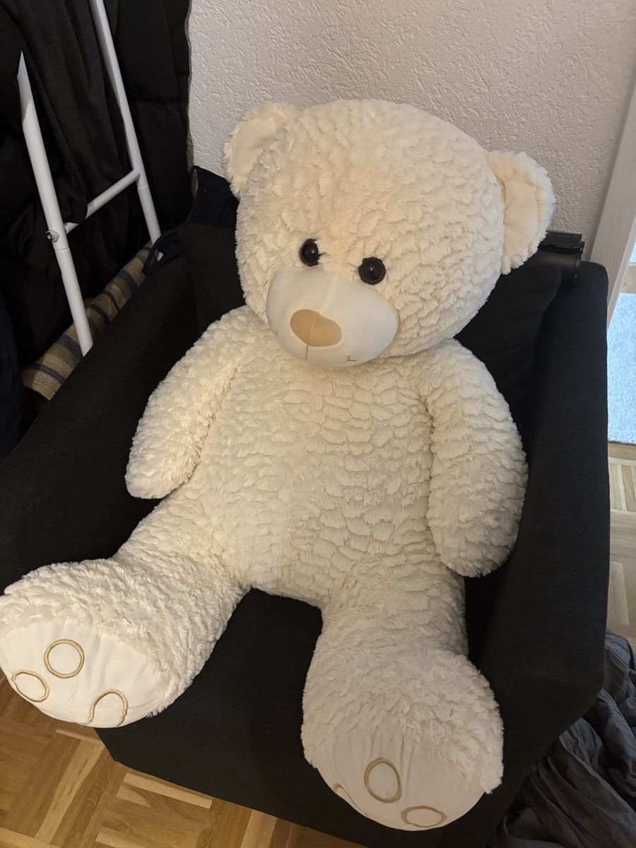 Giocattoli: Plüschtier teddy gross – Usato da Münchenbuchsee venduto da mar_cr82