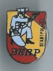 Stadtpolizei Pin