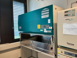 Mikrobiologischer Sicherheitswerkbank
